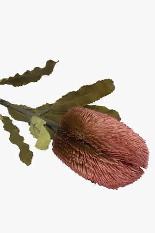 Banksia Single Stem, 64cm