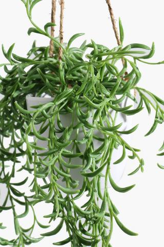 Hanging Trail Grass, 90cm