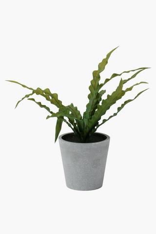 Ceramic Potted Spike Plant, 26x28cm