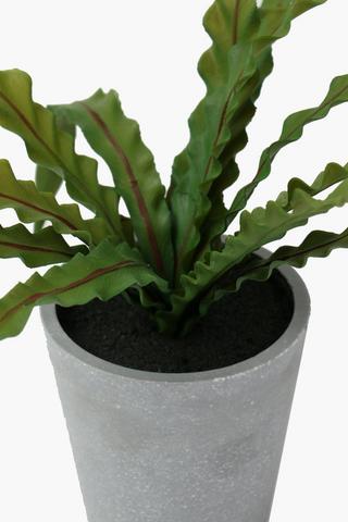 Ceramic Potted Spike Plant, 26x28cm