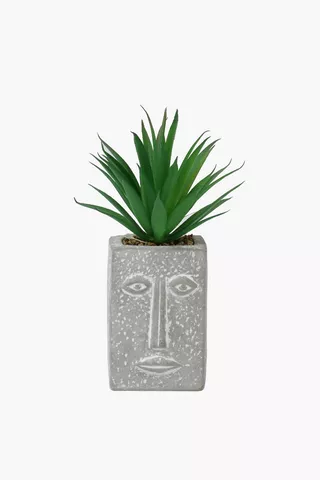 Spike Plant In Face Pot, 19cm