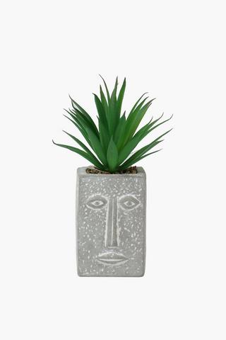 Spike Plant In Face Pot, 19cm