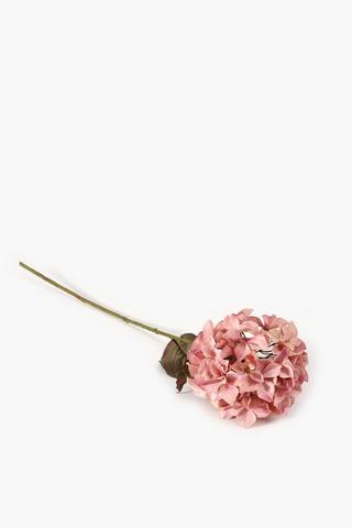 Hydrangea Single Stem, 73cm