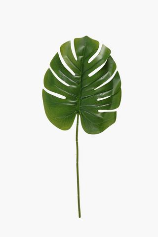 Delicious Monster Leaf, 60cm