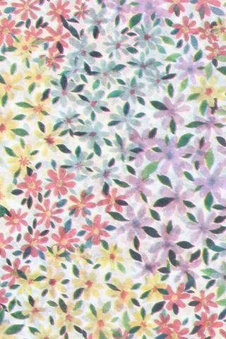 Bellavista Tissue Paper