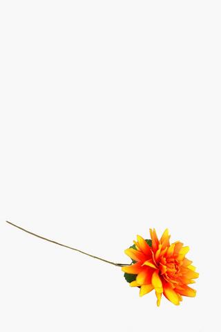 Dhalia Single Stem, 58cm