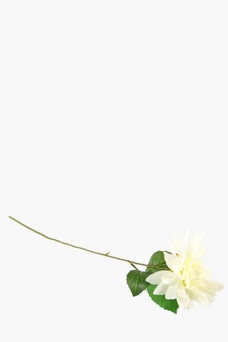 Dhalia Single Stem, 58cm