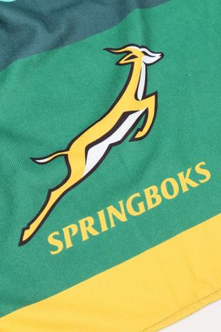 Springbok Beach Blanket,145x180cm