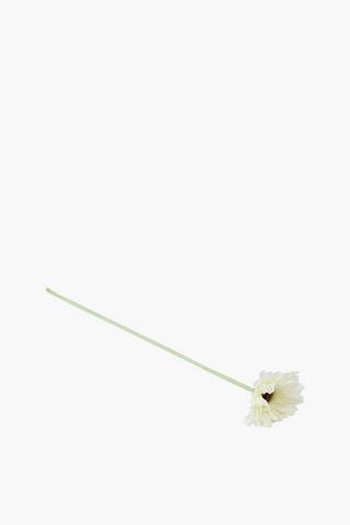 Gerbera Single Stem, 55cm