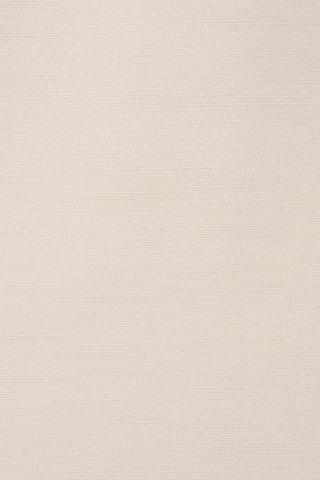2 Pack Hola Slub Eyelet Curtain, 135x225cm