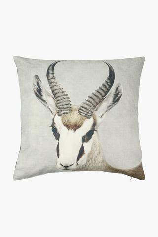 Printed Springbok Scatter Cushion, 50x50cm