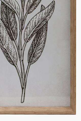 Framed Mejorana Leaf, 40x60cm