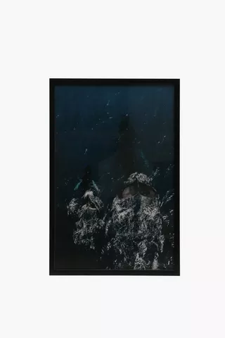 Framed Ocean Whales, 40x60cm