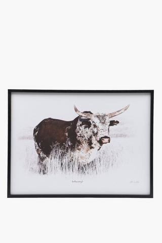 Framed Farm Nguni, 75x100cm