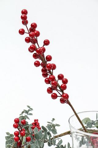 Red Berry Filler, 30cm