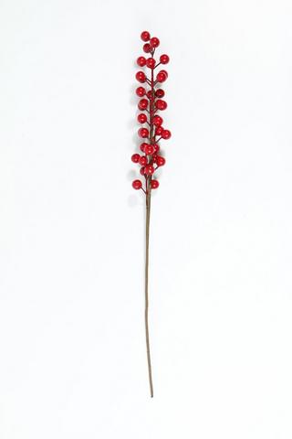 Red Berry Filler, 30cm
