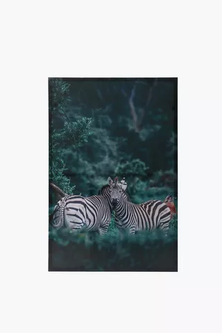 Zebra Focus Canvas, 60x90cm