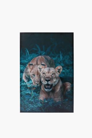 Savannah Lions Canvas, 60x90cm