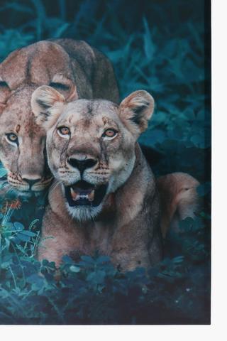 Savannah Lions Canvas, 60x90cm