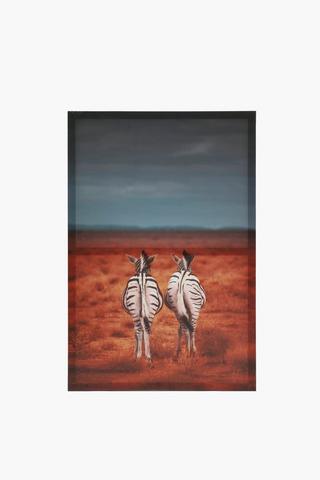 Cheeky Zebras Canvas, 40x60cm