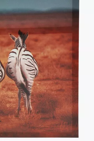 Cheeky Zebras Canvas, 40x60cm