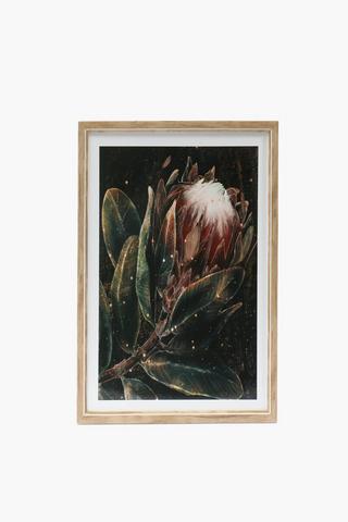 Framed Deep Protea Canvas, 30x40cm