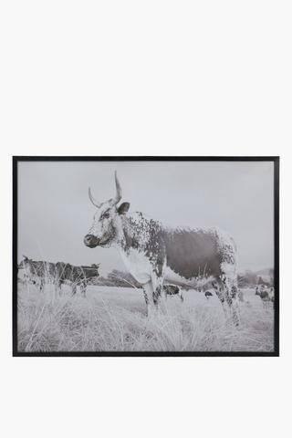 Framed Nguni Mono, 75x100cm