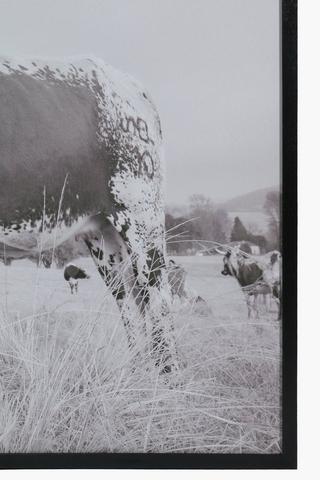 Framed Nguni Mono, 75x100cm