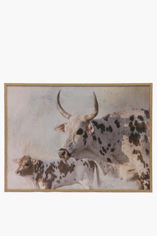 Framed Nguni Calf, 75x100cm