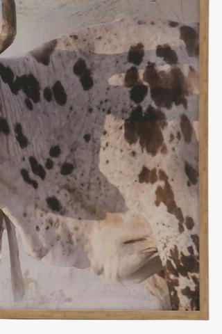 Framed Nguni Calf, 75x100cm
