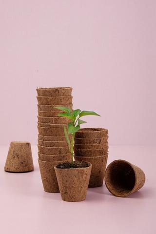 12 Pack Coconut Fibre Planters