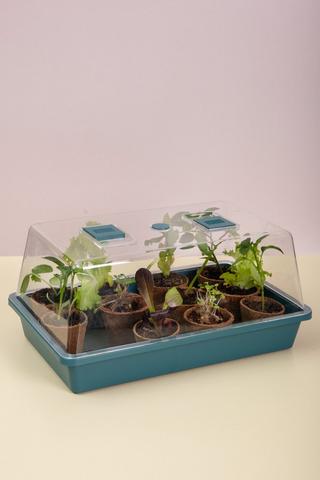 Good Roots Propagator