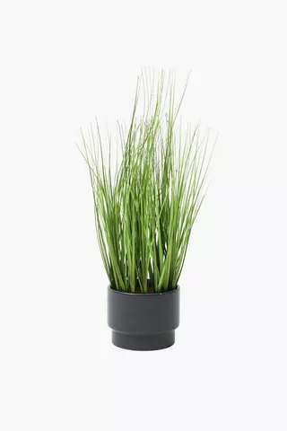 Urban Potted Grass, 48cm