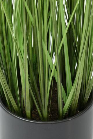 Urban Potted Grass, 48cm