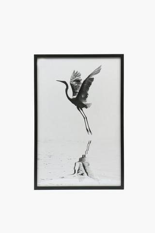 Framed Bird Flight, 60x90cm