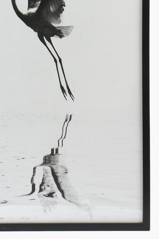 Framed Bird Flight, 60x90cm