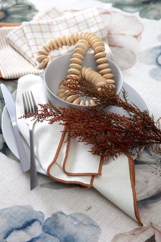 Cotton Stripe Border Napkin