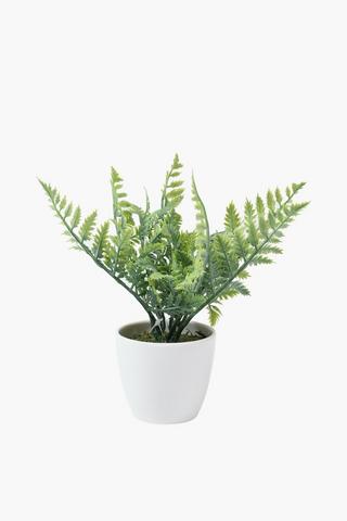 Potted Fern, 8x21cm