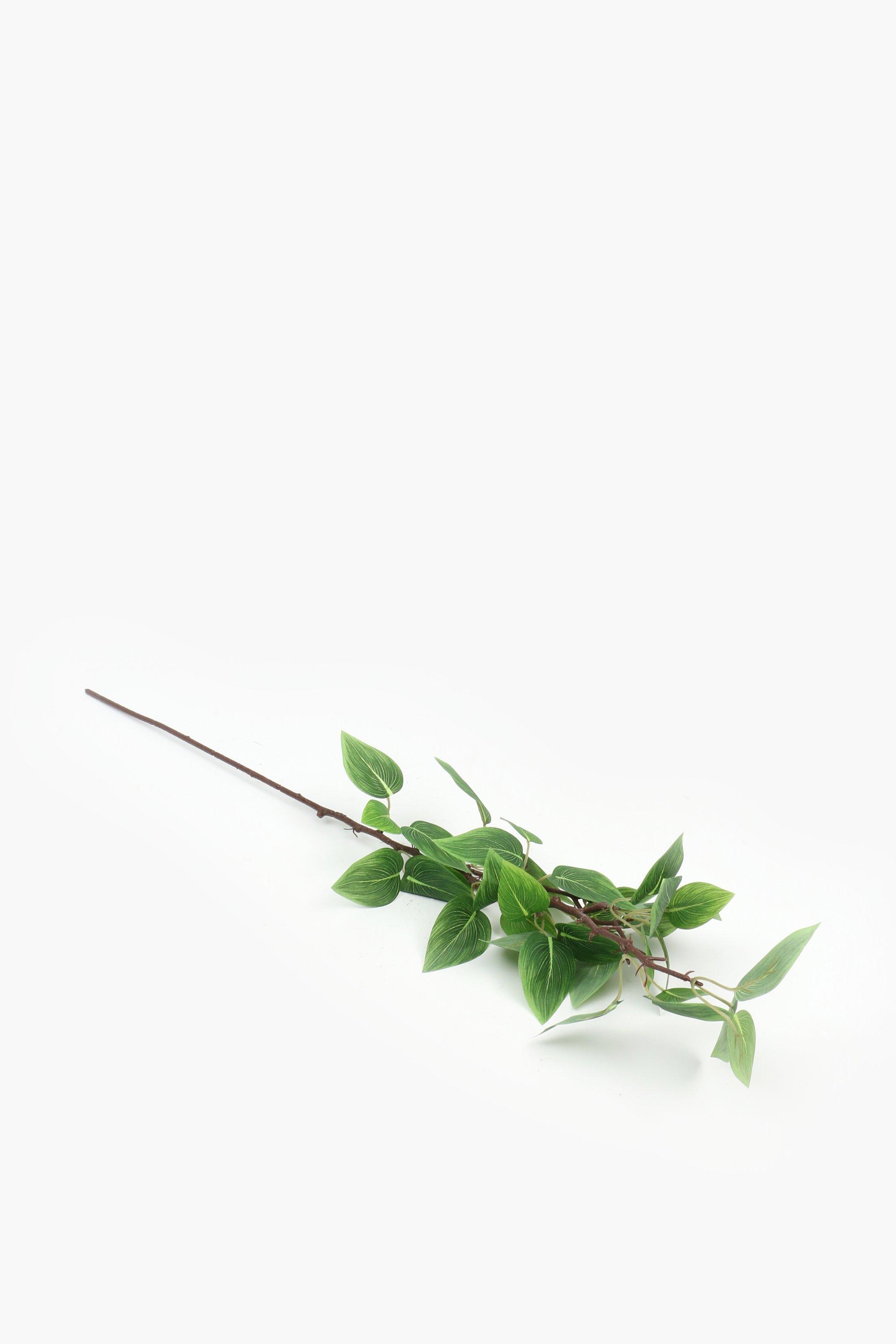 Evergreen Single Stem, 74cm