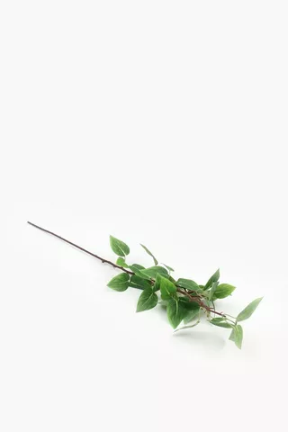 Evergreen Single Stem, 74cm