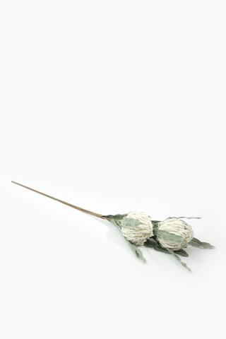 Twin Protea Single Stem, 108cm