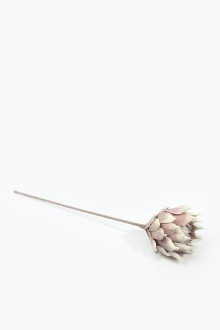 Protea Single Stem, 90cm
