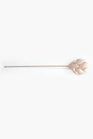 Protea Single Stem, 90cm