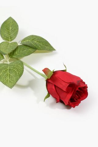 Rose Bud Single Stem, 45cm