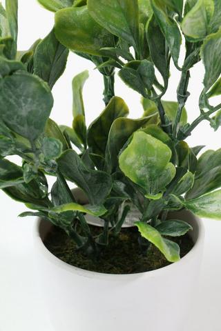 Potted Green Leaves, 8x21cm