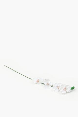 Orchid Single Stem, 65cm