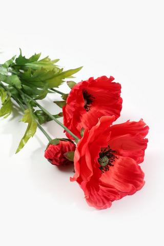 Poppy Single Stem, 90cm