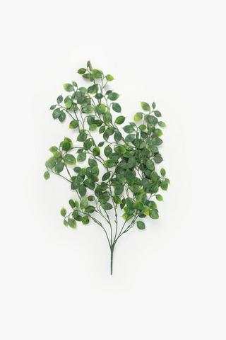 Hanging Sedum Trail, 80cm