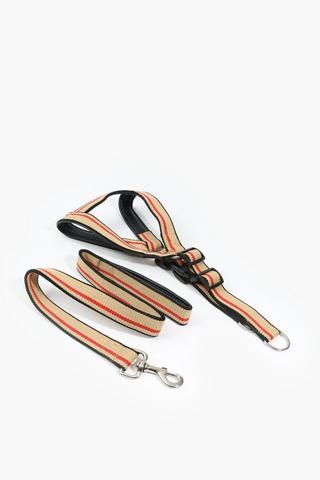 Pet Leash Harness Medium