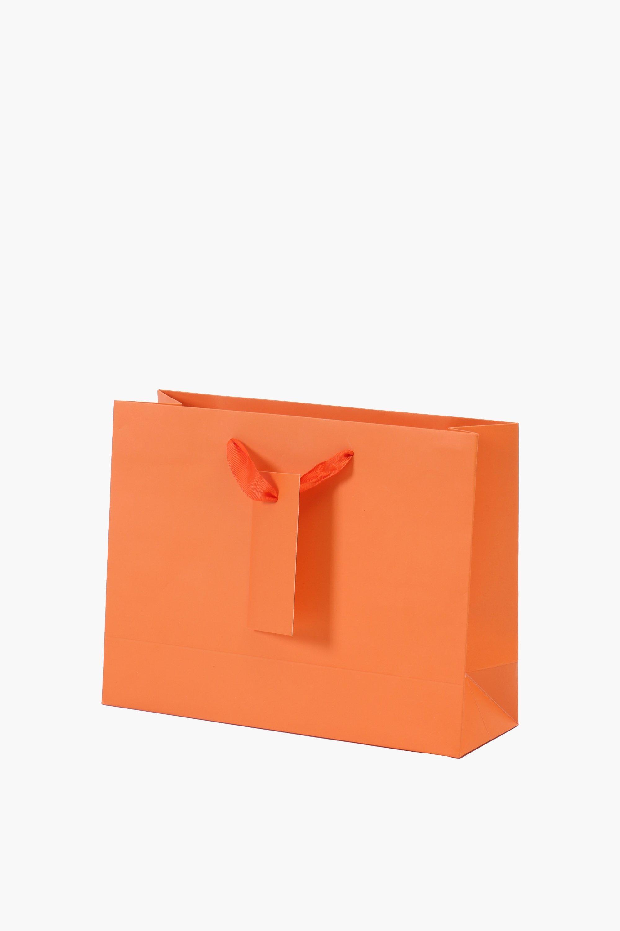 plain-gift-bag-small